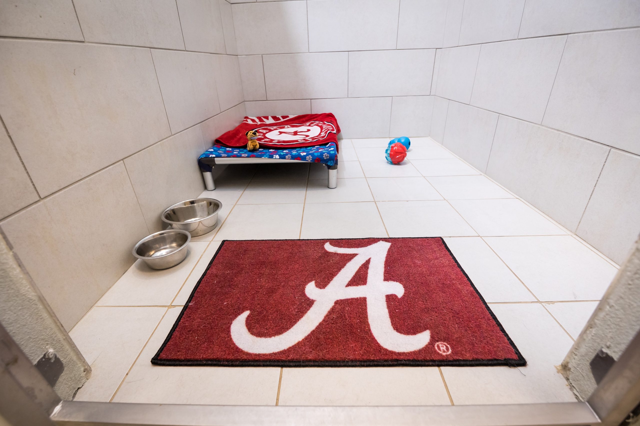 Football Themed Dog Boarding Suite