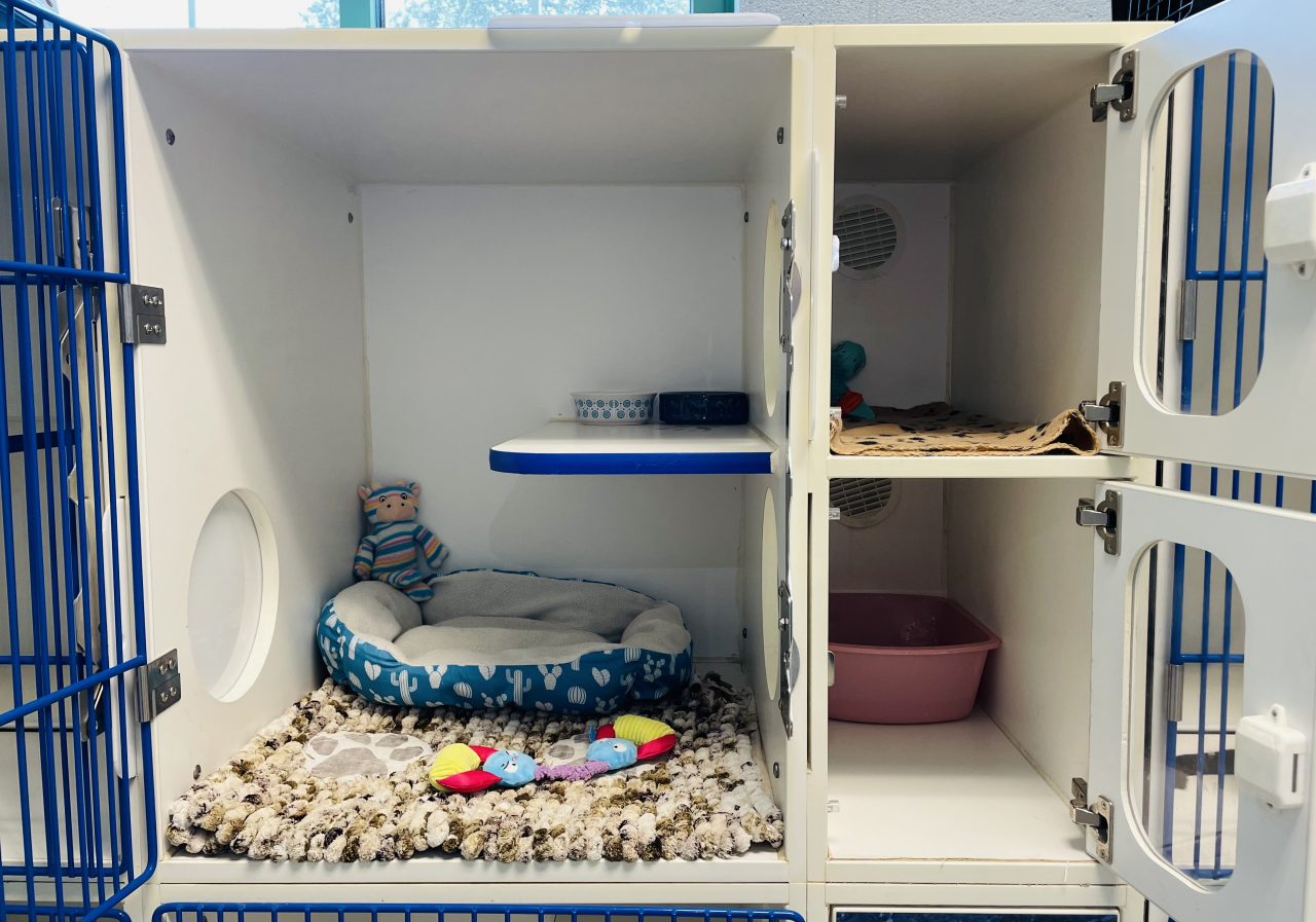 Our Luxurious Suites Cat & Dog Boarding in Madison, AL